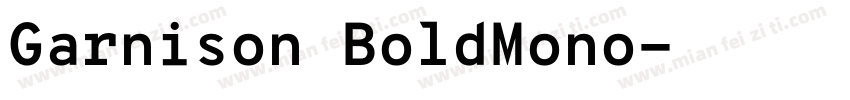 Garnison BoldMono字体转换